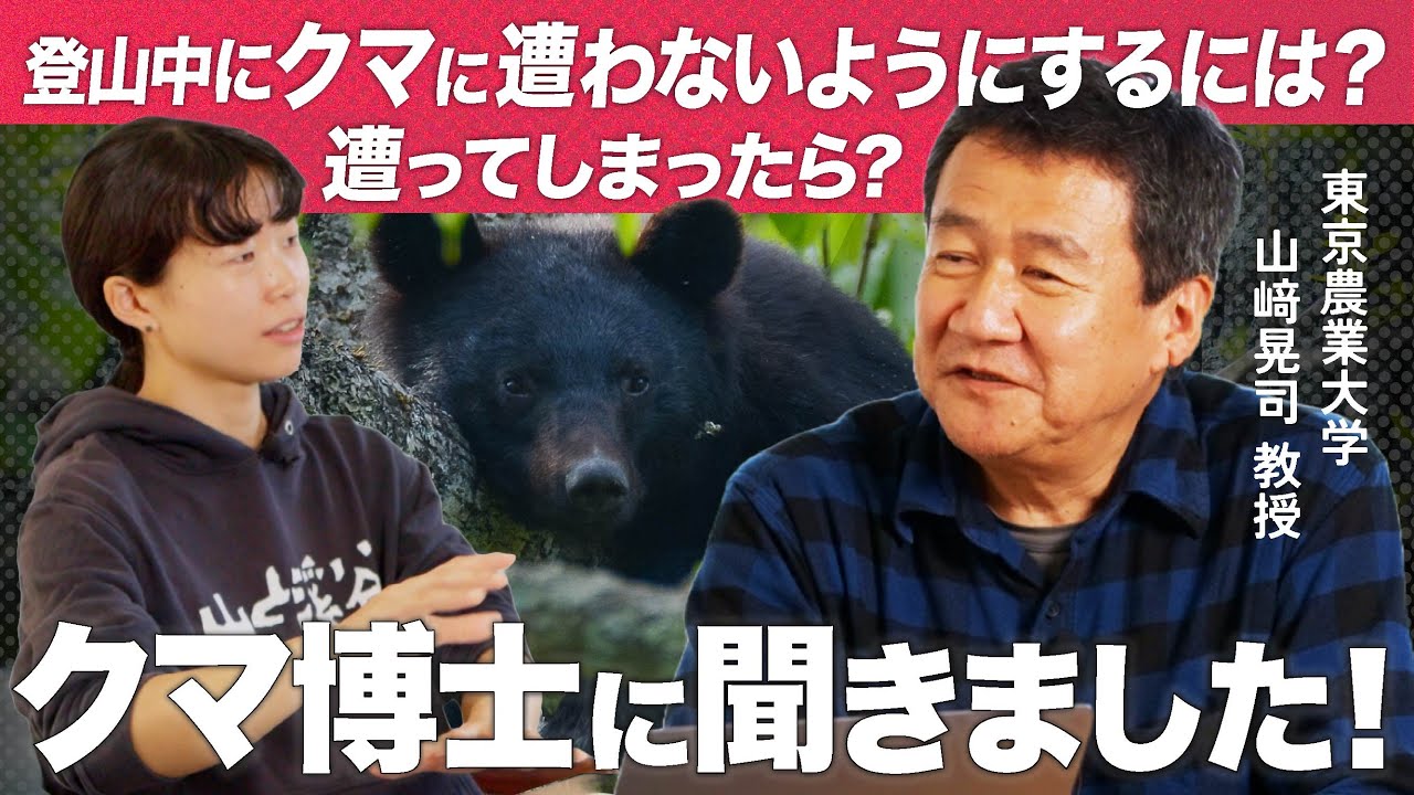 【熊対策】なぜ日本でクマ被害が増えているのか？最新データと正しい生存戦略